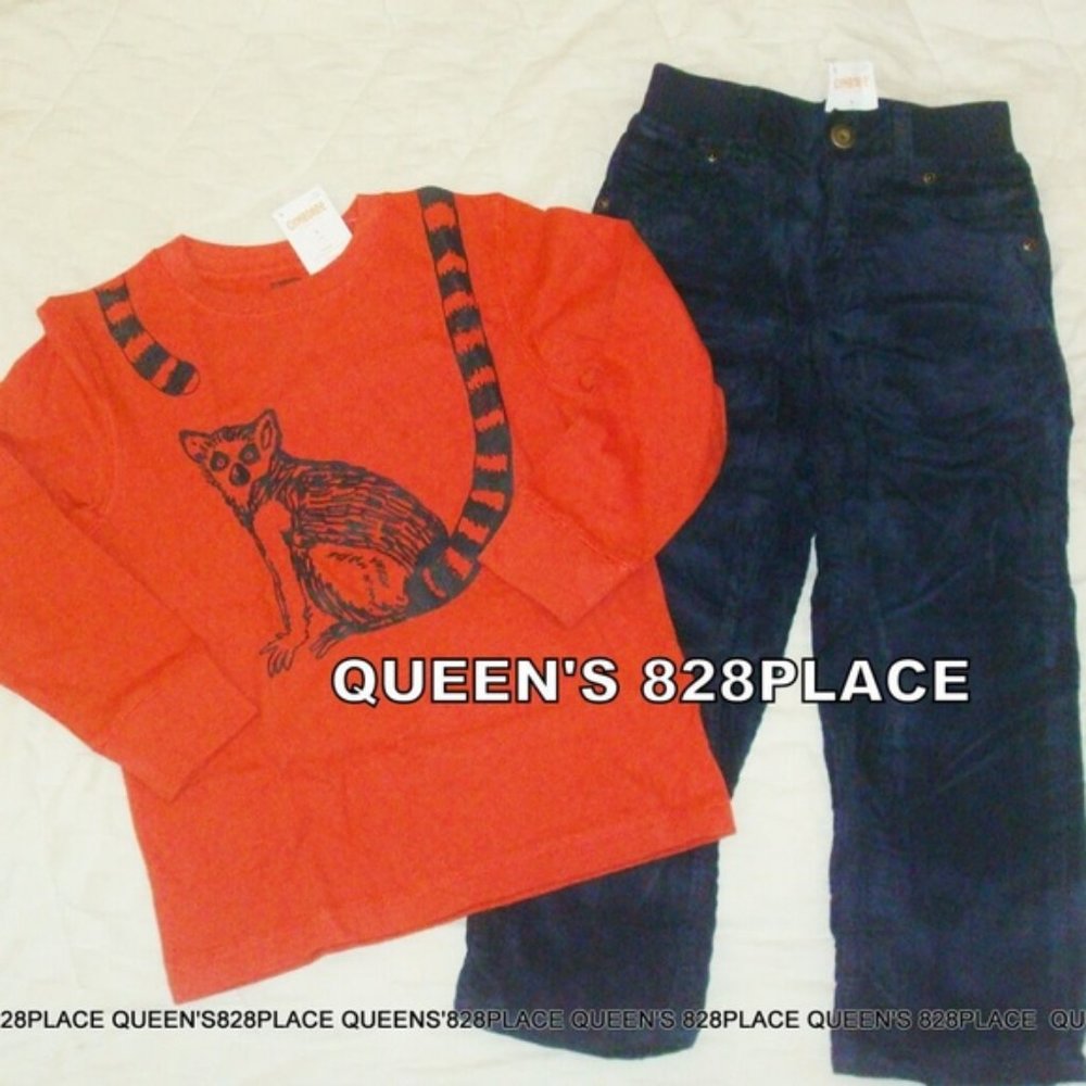 Nwt Gymboree Boys 5 Orange racoon Top Pants Set